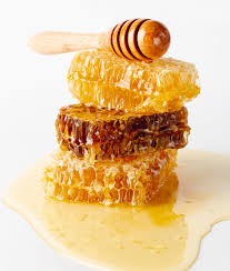 Wekiva Honey Co