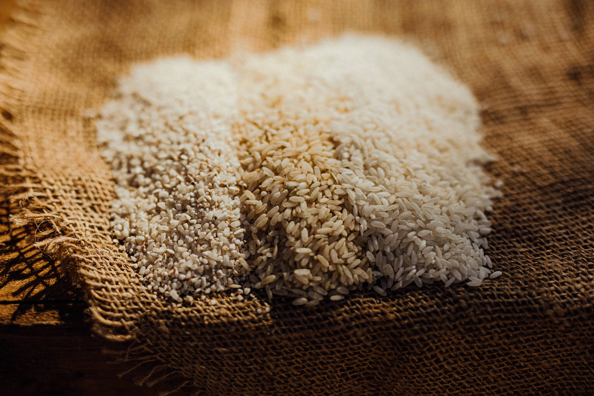 Tidewater Grain Company - Carolina Gold Heirloom Rice - 2 Cup: Middlin Rice