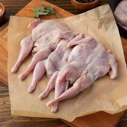 Boneless Quail 4oz