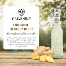 Galvanina Ginger Beer Soda