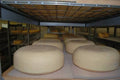 Hawthorne Creek Creamery Havarti 8oz avg.