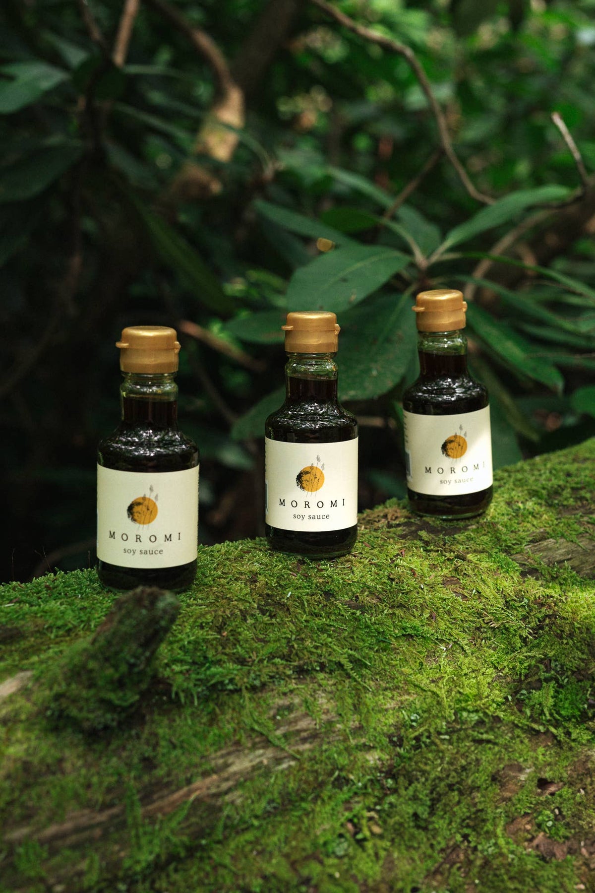 Moromi - Organic Non-GMO Soy Sauce