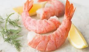 Key West Pink Shrimp 31/35 - 1lb avg