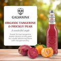 Galvanina Tangerine and Prickly Pear Soda
