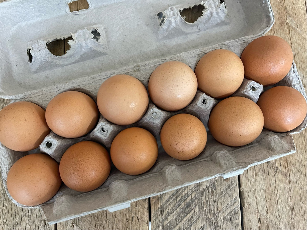 Large Chicken Eggs - Cage Free