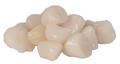 Bay Scallops 60/80 - 1lb avg