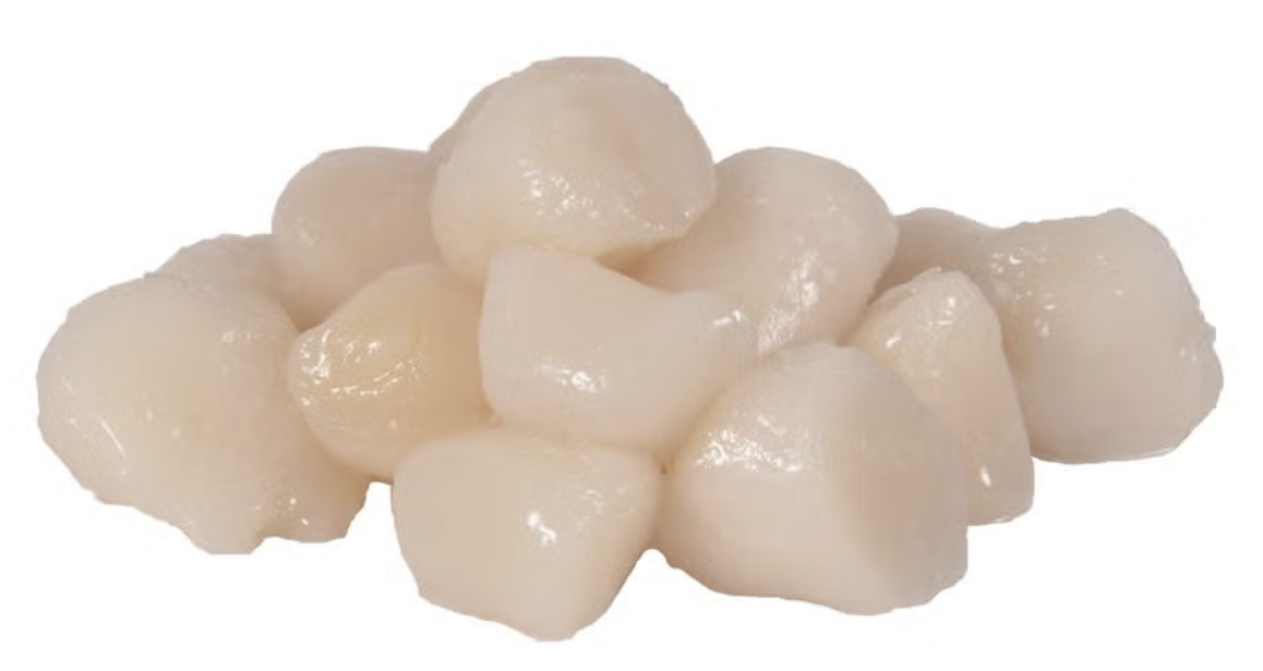 Bay Scallops 60/80 - 1lb avg