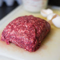 Ground Bison