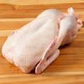 Dartagnan Whole Duck